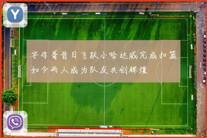字母哥昔日飞跃小哈达威完成扣篮如今两人成为队友共创辉煌
