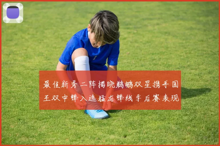 最佳新秀二阵揭晓鹈鹕双星携手国王双中锋入选猛龙锋线季后赛表现抢眼