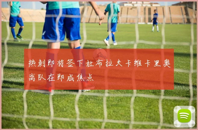 热刺即将签下杜布拉夫卡维卡里奥离队在即成焦点
